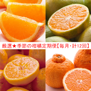 厳選★季節の柑橘定期便5kg【毎月・計12回】【頒布会】　　