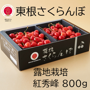 GI캬ϪϺ Ƚ800g2024ǯ6ȯϡ