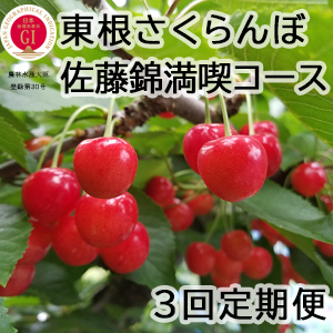 GI캬ܡ ƣʥ3󥳡2023ǯ4餪Ϥ
