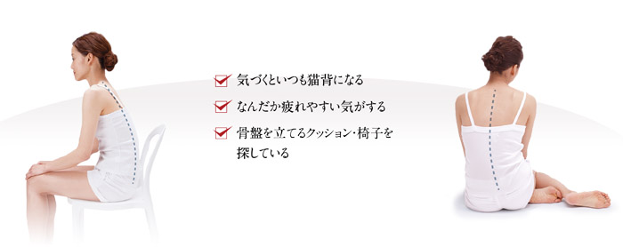 ボディメイクシート スタイル G Call ショッピング ボディメイクシート スタイル G Call ショッピング