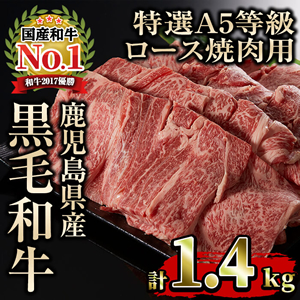 鹿児島県産黒毛和牛特選A5等級ロース1.4kg焼肉用！