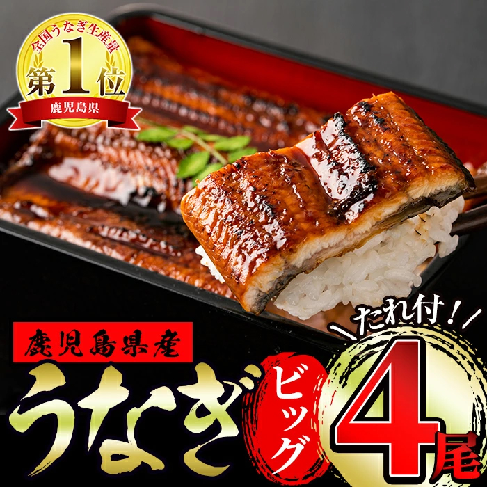 東串良町のうなぎ蒲焼 Br ビッグサイズ Br 0g以上 4尾 G Call ショッピング