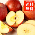 青森産りんご≪サンふじ≫