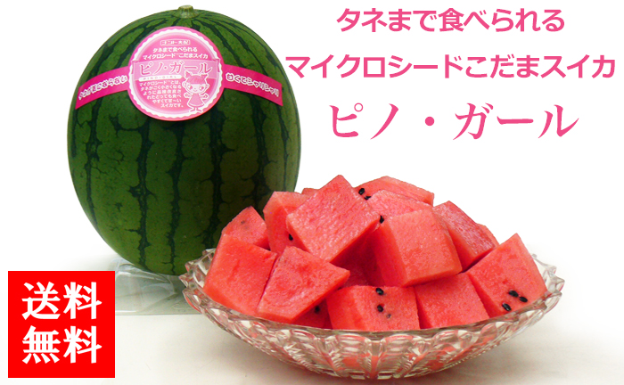 種まで食べられる西瓜 ピノ ガール G Call ショッピング 種まで食べられる西瓜 ピノ ガール G Call ショッピング