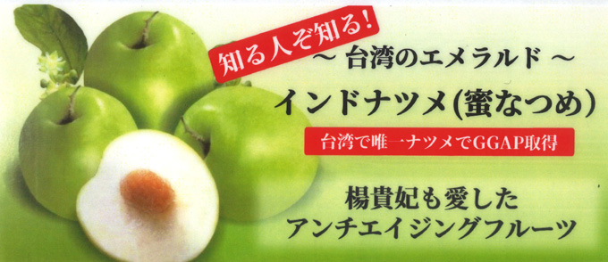 楊貴妃が好んで食べたといわれる台湾産インドナツメ G Callショッピング 楊貴妃が好んで食べたといわれる台湾産インドナツメ G Callショッピング