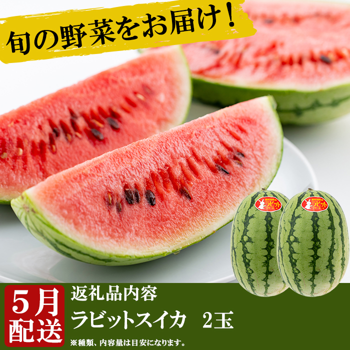 自慢の農家×老舗青果店新鮮でおいしい野菜便5月発送(スイカ×2玉) ｜ G