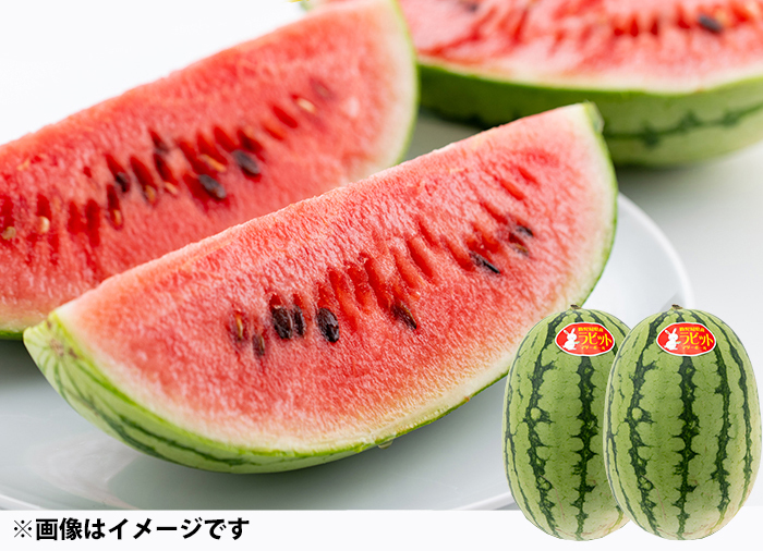 自慢の農家×老舗青果店新鮮でおいしい野菜便5月発送(スイカ×2玉) ｜ G