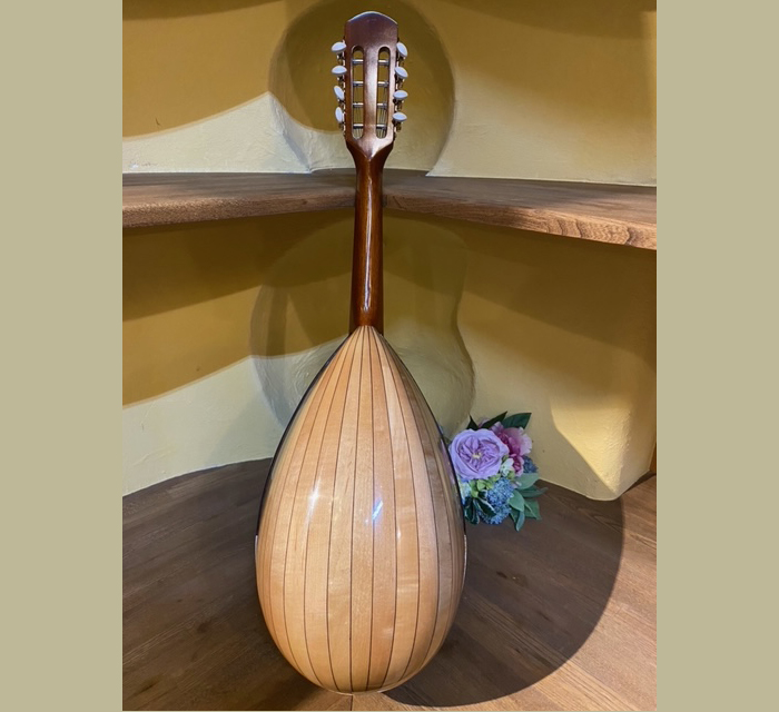 MD-4 マンドラ鈴木バイオリン ｜ G-Call ふるさと納税