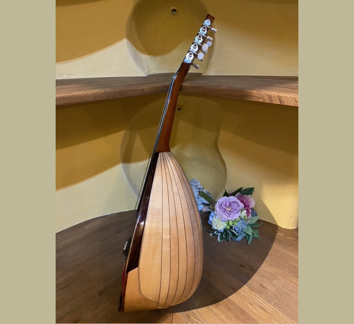 MD-4 マンドラ鈴木バイオリン ｜ G-Call ふるさと納税