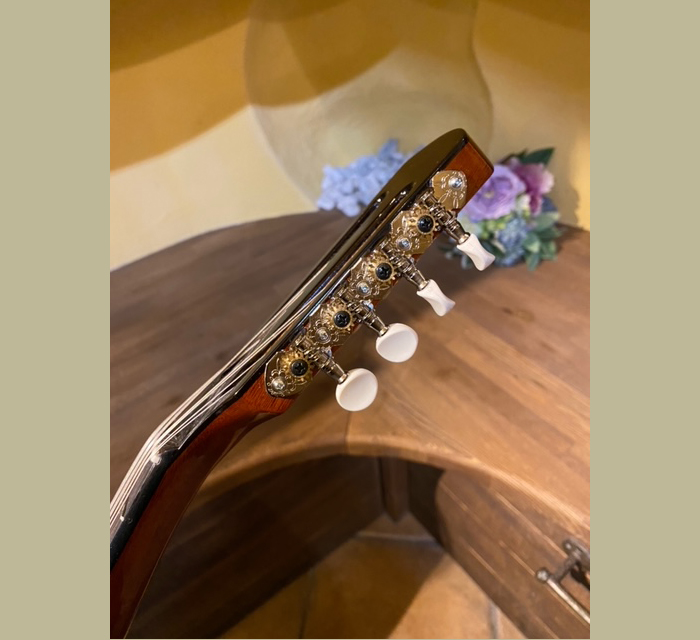 MD-4 マンドラ鈴木バイオリン ｜ G-Call ふるさと納税