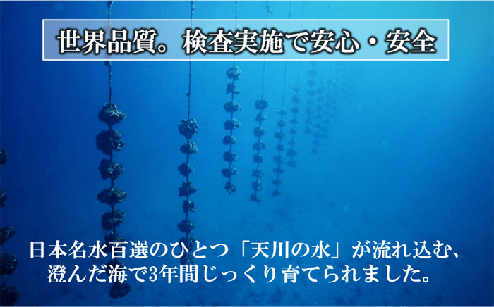 ブランドいわがき春香牡蠣尽くしセット ｜ G-Call ふるさと納税