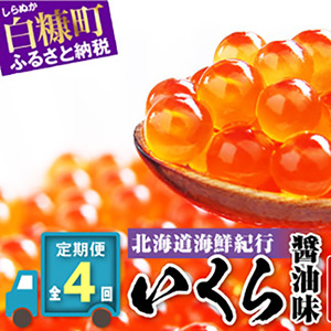 ̳ƻԤ(̣)500g(250g2)4Ϥڹ2kg