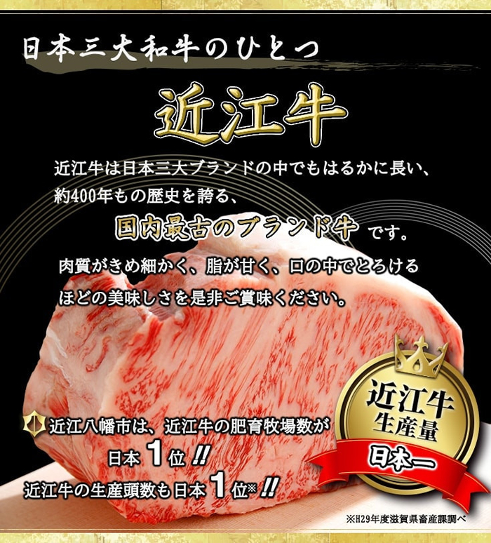 まるたけ近江西川近江牛ハンバーグ 1g 16個デミグラスソース入り G Call ふるさと納税