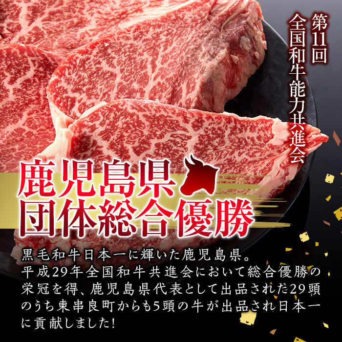 特選ａ5等級鹿児島県産黒毛和牛ヒレステーキ G Call ふるさと納税