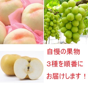ͽι񤪤޲ʪ3󥳡