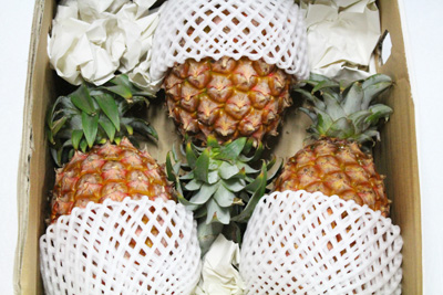 特別栽培農産物 減農薬 無化学肥料栽培 Br 沖縄県産パイナップル G Call ショッピング