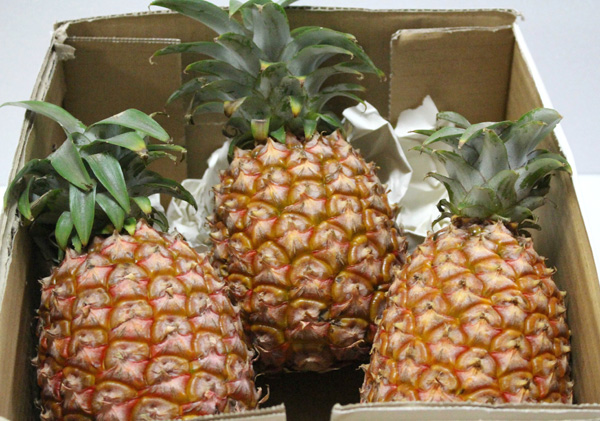 特別栽培農産物 減農薬 無化学肥料栽培 Br 沖縄県産パイナップル G Call ショッピング 特別栽培農産物 減農薬 無化学肥料栽培 Br 沖縄県産パイナップル G Call ショッピング