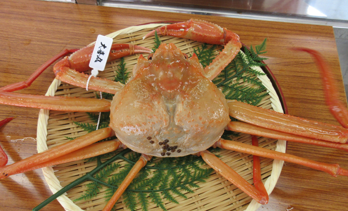 かねいち特撰】甘くてジューシー!鮮度抜群活!紅ズワイガニ | G-Call かねいち特撰】甘くてジューシー!鮮度抜群活!紅ズワイガニ | G-Call