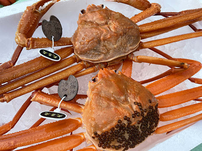 かねいち 希少な蟹 越前ずわいと紅ずわいの ハーフ 活 黄金がに G Call ふるさと納税