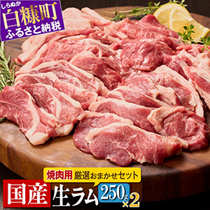 ѥ饤250g2ѥå