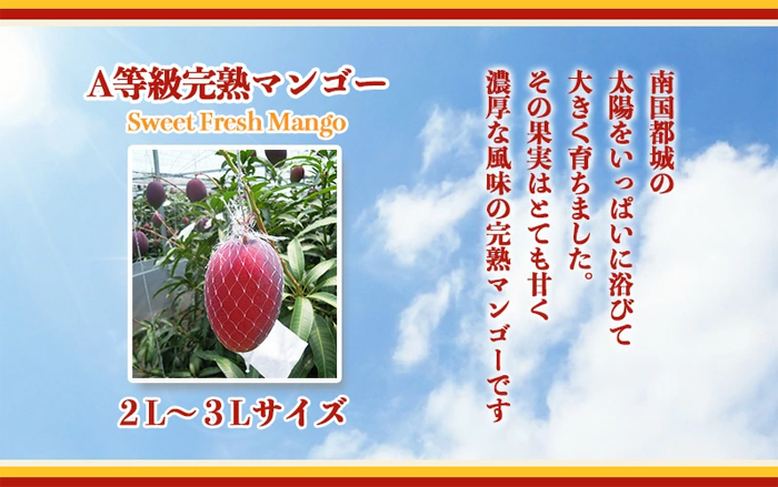 都城産完熟マンゴー(A等級 2玉） 2022年5月下旬発送 ｜ G-Call ふるさと納税
