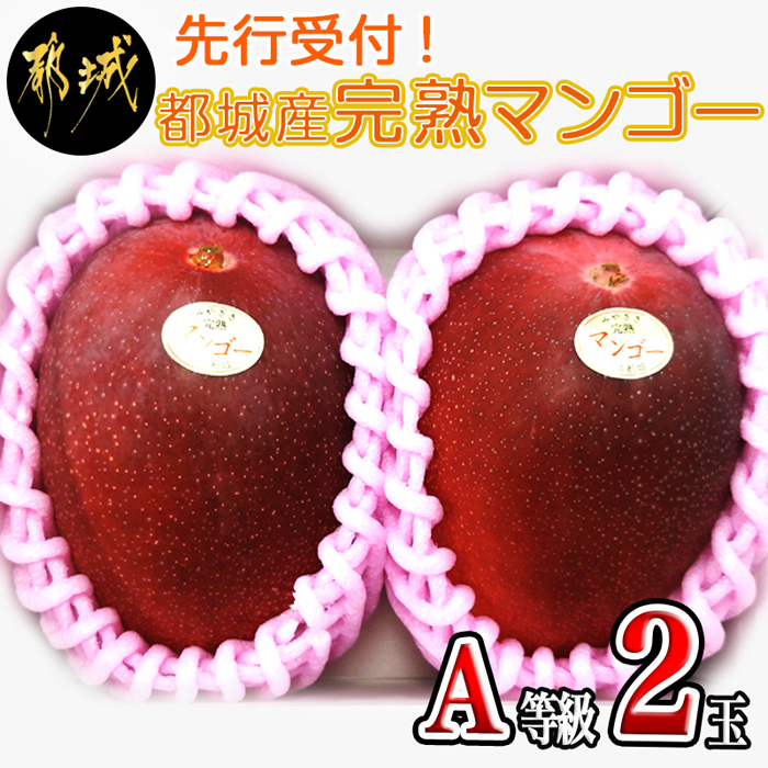 都城産完熟マンゴー(A等級 2玉） 2022年5月下旬発送 ｜ G-Call ふるさと納税
