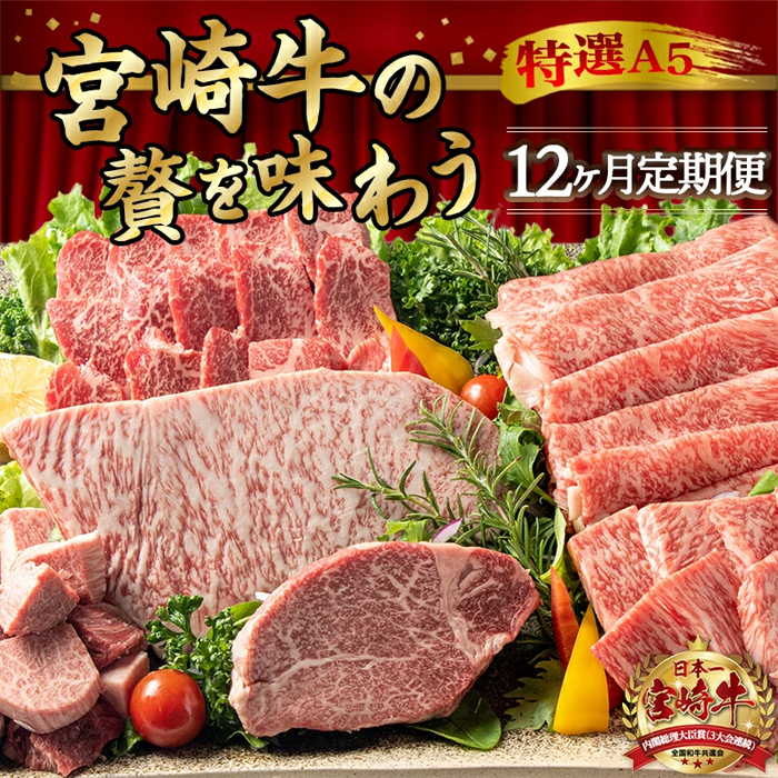 年末企画 特選a5 宮崎牛の贅を味わう 12ヵ月定期便 G Call ふるさと納税