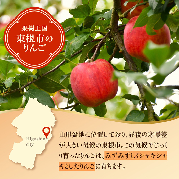 2024年産 先行予約】りんご(品種おまかせ) 10kg ｜ G-Call ふるさと納税
