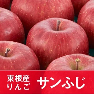 りんご「サンふじ」10kgＪＡ提供【先行予約】2022年11月発送開始　
