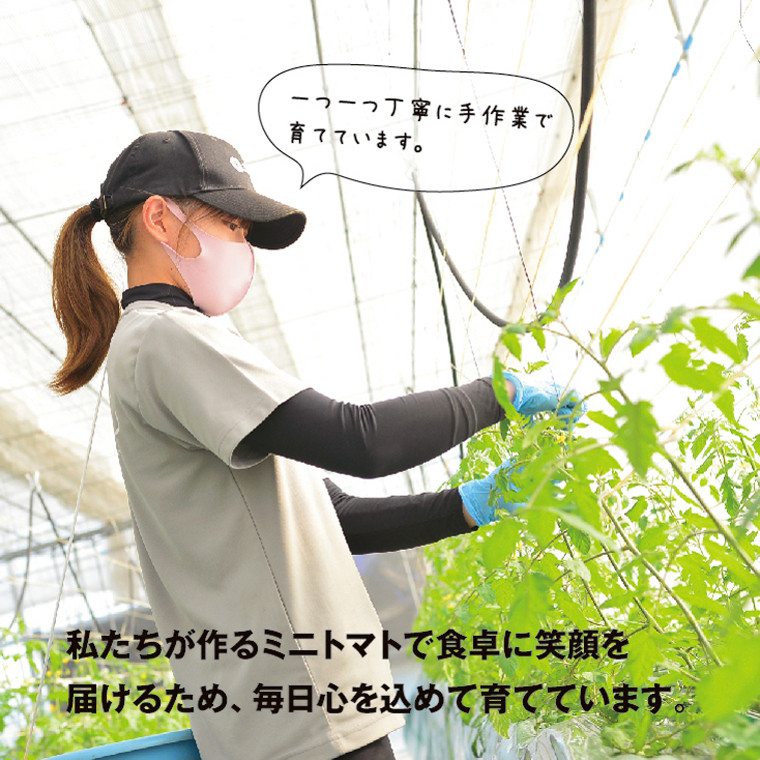 ZEPPIN EX（エクセレント） ｜ G-Call ふるさと納税