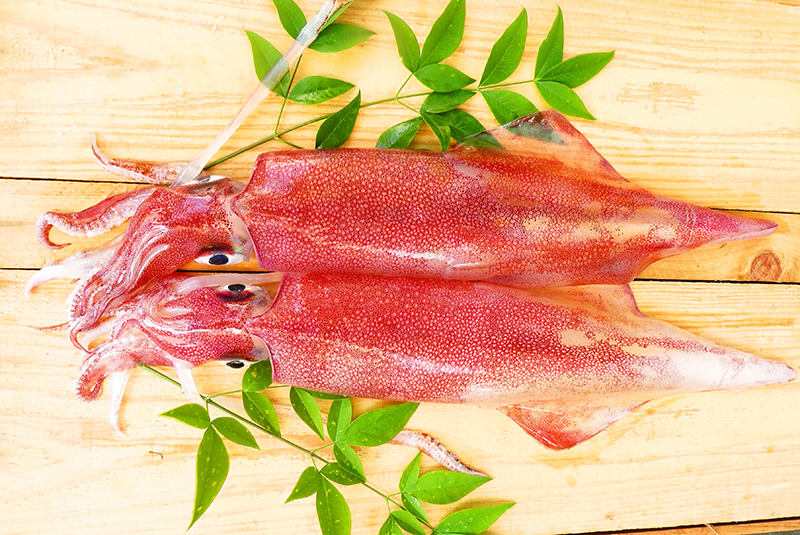 赤いか G Call ショッピング