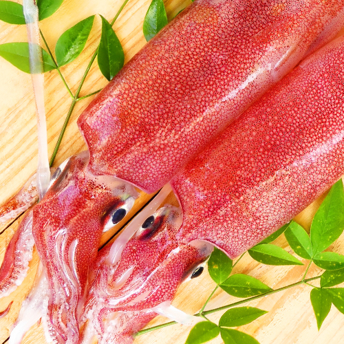 赤いか | G-Callショッピング