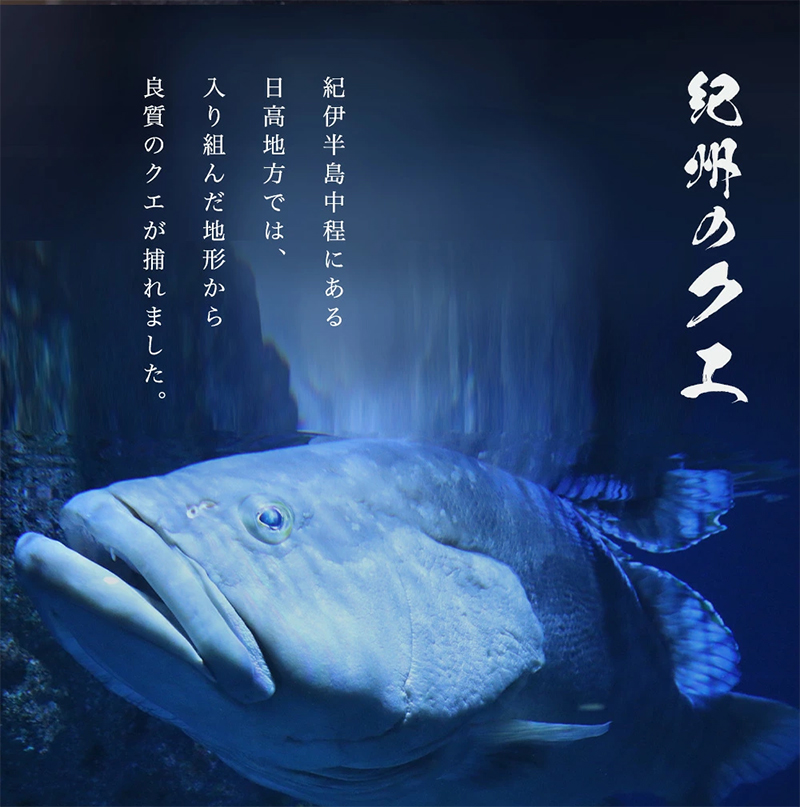 天然 クエ鍋 500g(くえ鍋セット) | G-Call ふるさと納税 天然 クエ鍋 500g(くえ鍋セット) | G-Call ふるさと納税