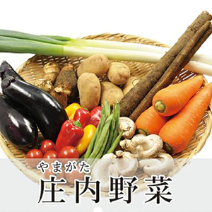 【庄内野菜】旬のお野菜詰め合わせセット　