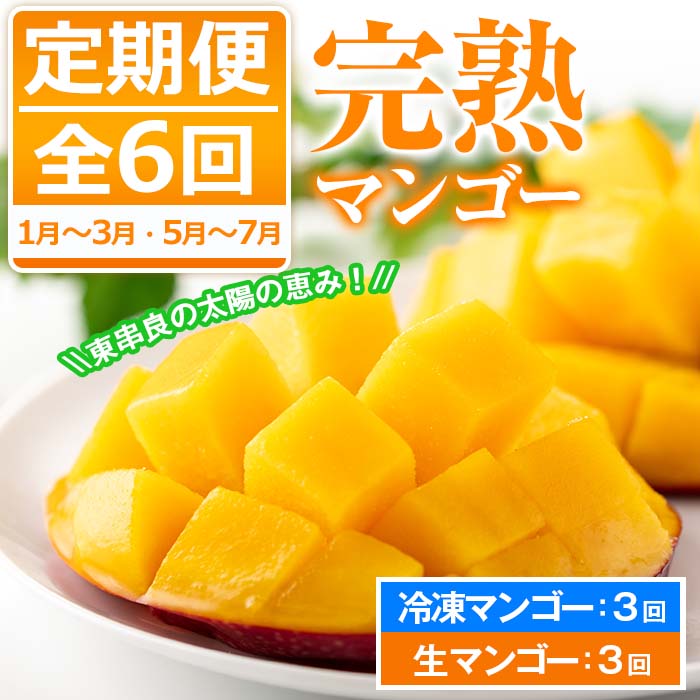 マンゴー‼️ Doctor's Mango 博士のマンゴー ドライフルーツ 完熟 マンゴー 480g
