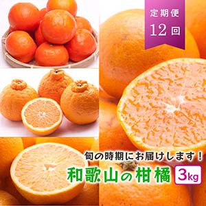 厳選★季節の柑橘定期便 3kg【毎月・計12回】【頒布会】　