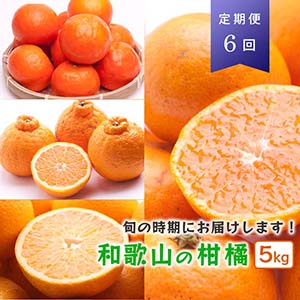 厳選★季節の柑橘定期便 5kg【奇数月・計6回】【頒布会】　