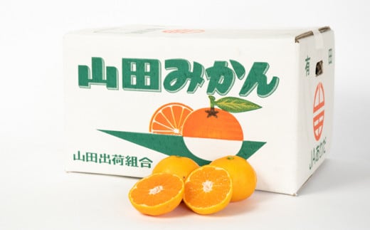 やまだみかん様 専用 やいさん様専用 みかん様専用山田正紀37冊セット - メルカリ