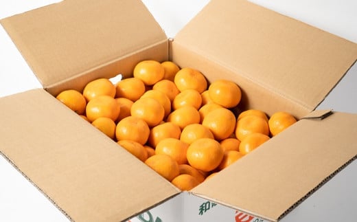 山田みかん 秀品 5kg(S・M・Lサイズいずれかおまかせ) ｜ G-Call