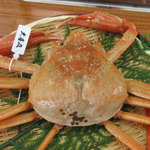 かねいち特撰】甘くてジューシー！鮮度抜群活！紅ズワイガニ ｜ G-Call