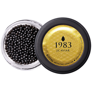 1983 J.CAVIAR ȥ