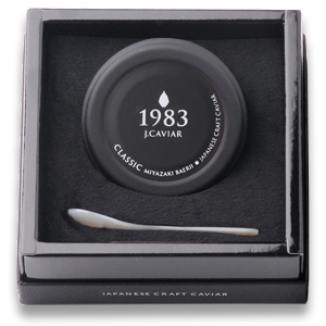 ܺꥭӥ1983 Х1983 J.CAVIAR 饷å