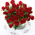 Crimson Roses