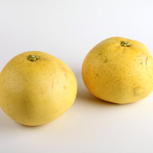 1.5kg2