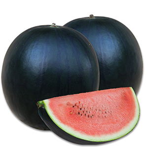 ̡ʣ̡󣷡