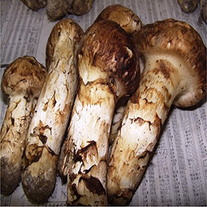 �Ĥܤ��濴��250g(��2��9��)������