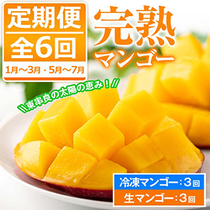 家庭用マンゴー　6個 freska_mangos01-300x300.jpg
