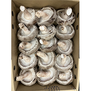 3�� ͥ15��(��8.5cm����60g��15��)����