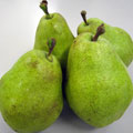 ý kg ʣ