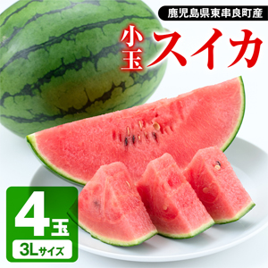 期間限定・数量限定＞小玉すいか≪マダーボール≫3Lサイズ×4玉